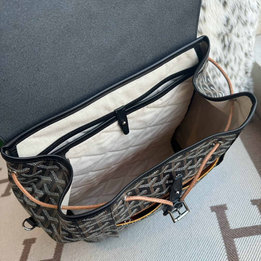 Alpin MM Convertible Backpack